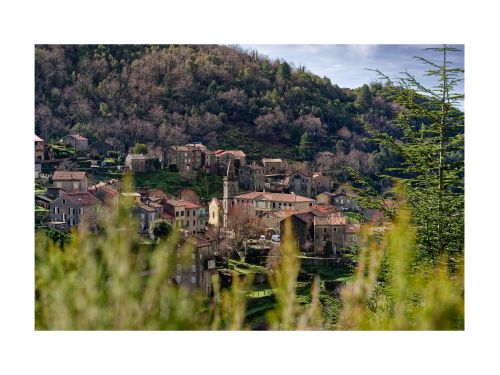 frasseto 2026